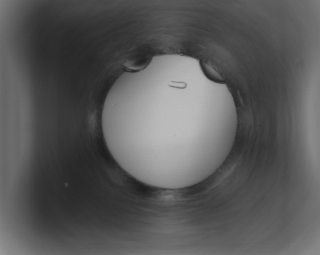 X0000100360088200806271432