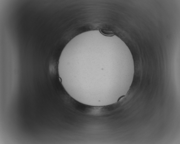 X0000100360090200806271432