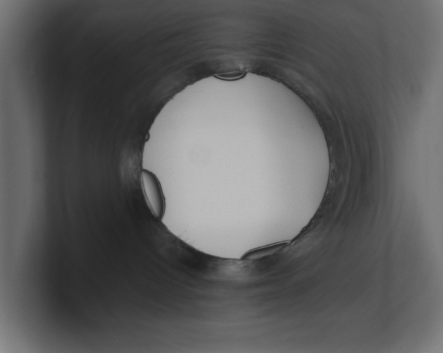 X0000100360096200806271432