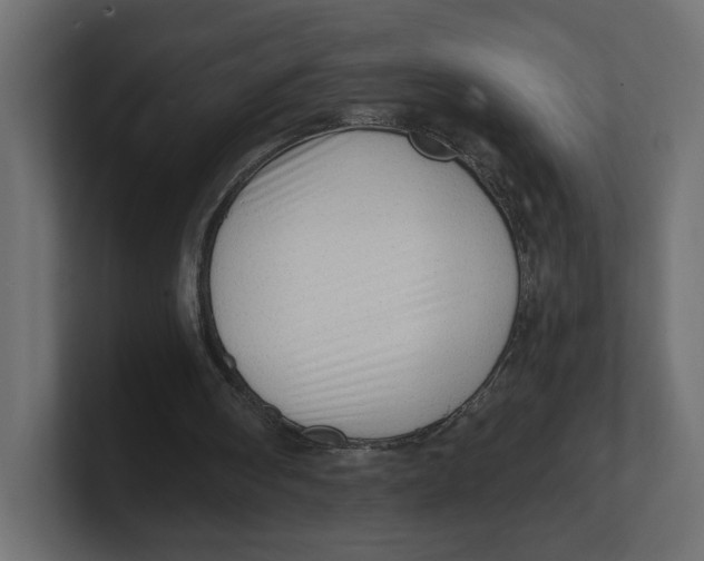 X0000100360098200806271432