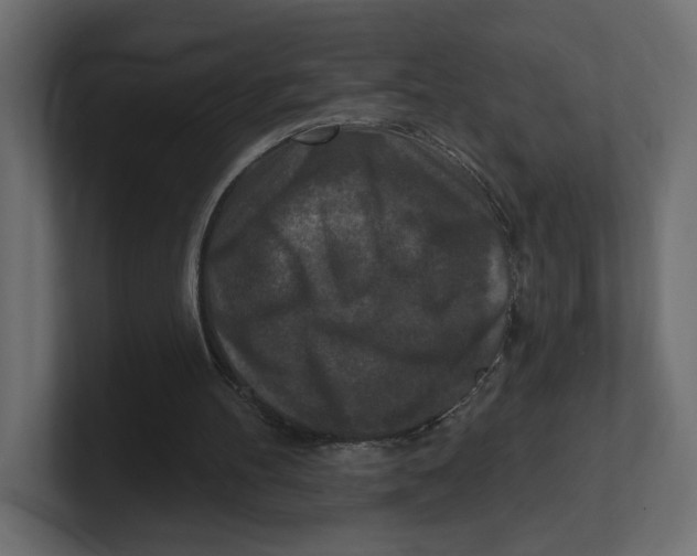 X0000100360100200806271432