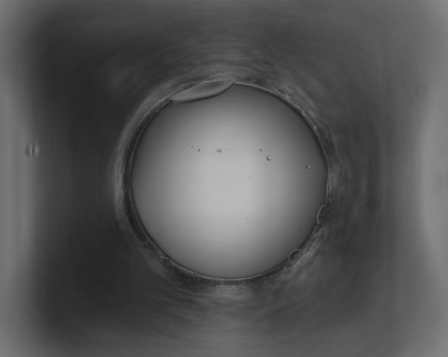 X0000100360101200806271432