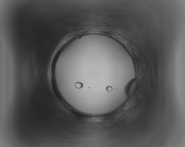 X0000100360102200806271432