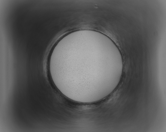 X0000100360103200806271432