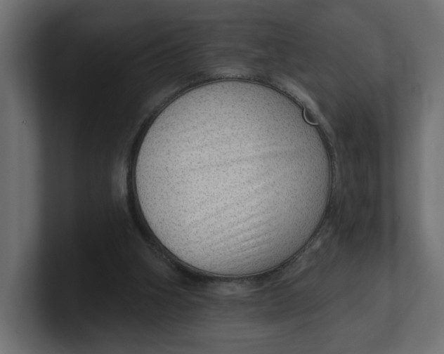 X0000100360106200806271432