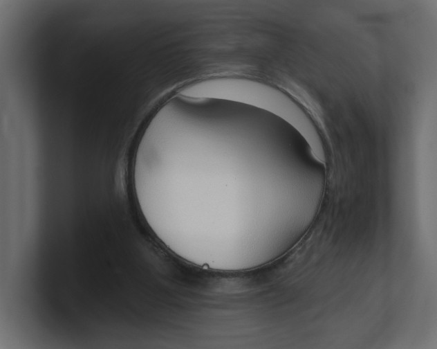 X0000100360107200806271432