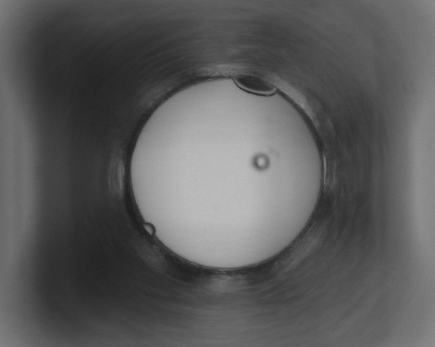 X0000100360109200806271432