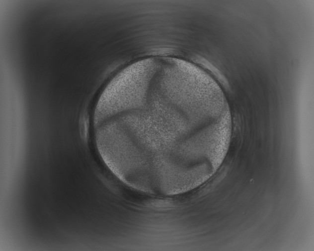 X0000100360110200806271432