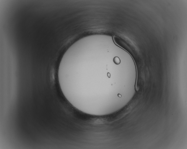 X0000100360115200806271432