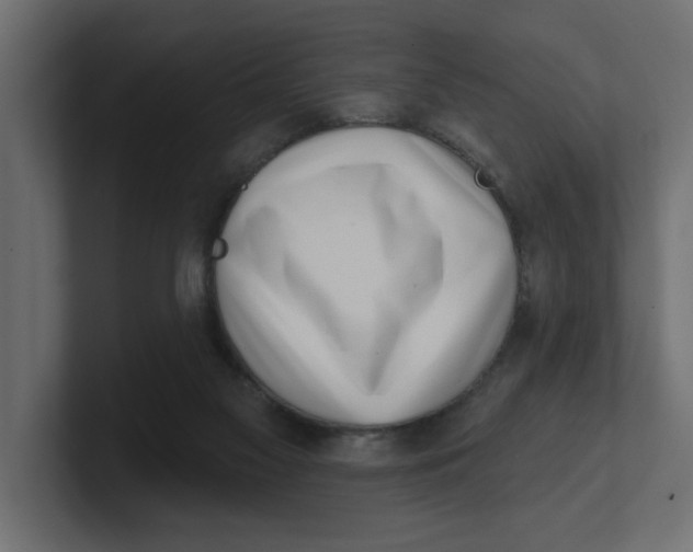 X0000100360117200806271432