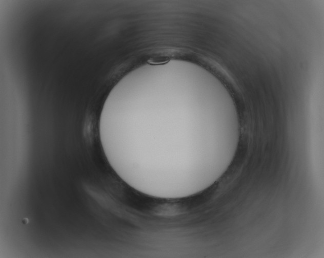 X0000100360119200806271432