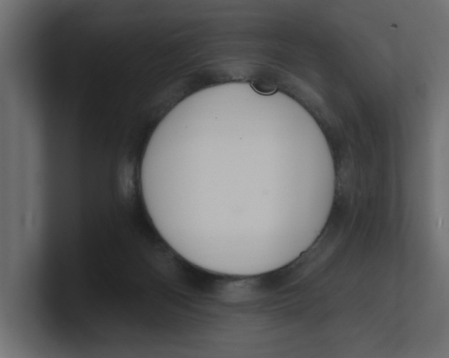 X0000100360122200806271432