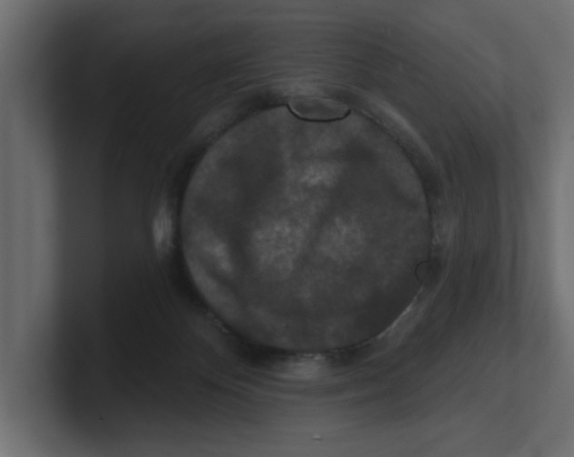 X0000100360124200806271432