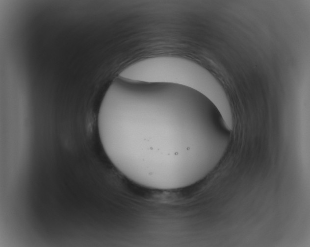 X0000100360125200806271431