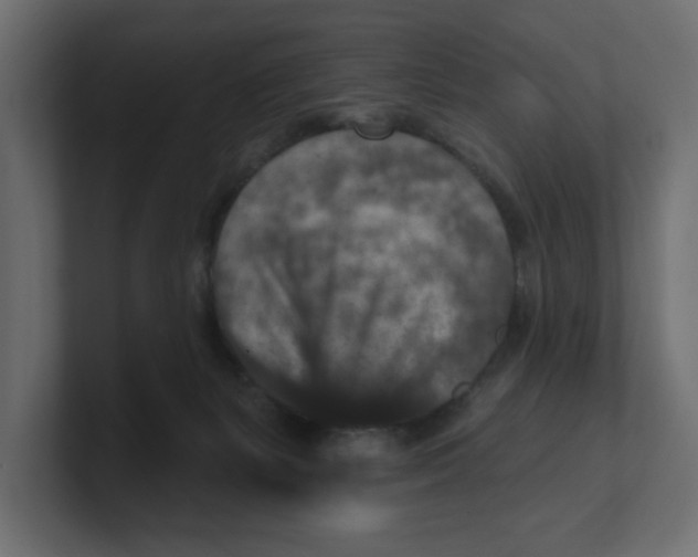 X0000100360127200806271431