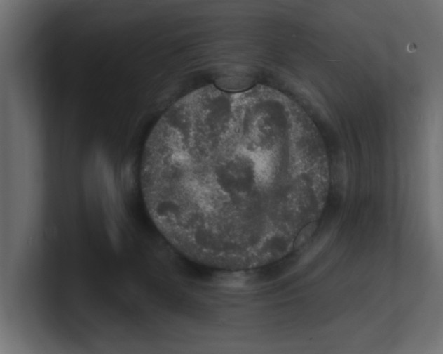 X0000100360131200806271431