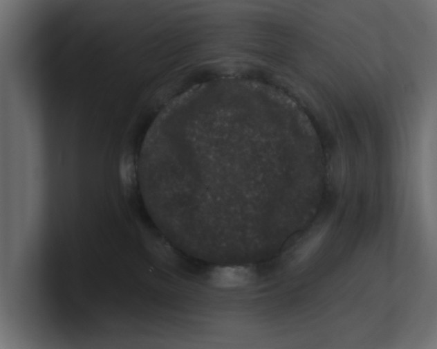 X0000100360137200806271431