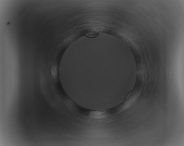 X0000100360139200806271431