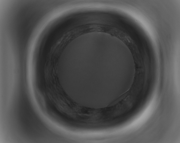 X0000100360143200806271431