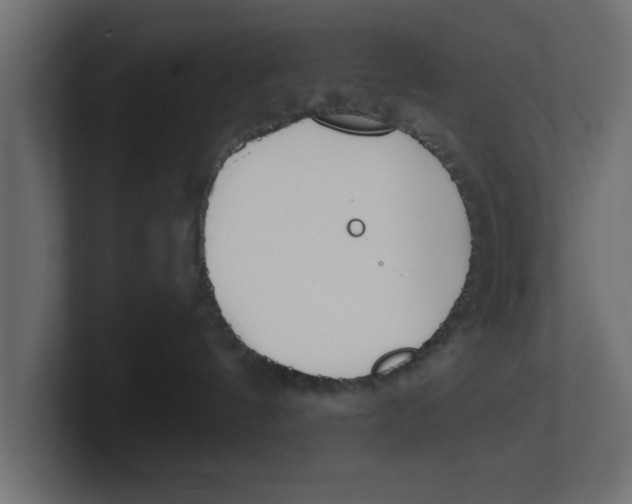 X0000100360144200806271431