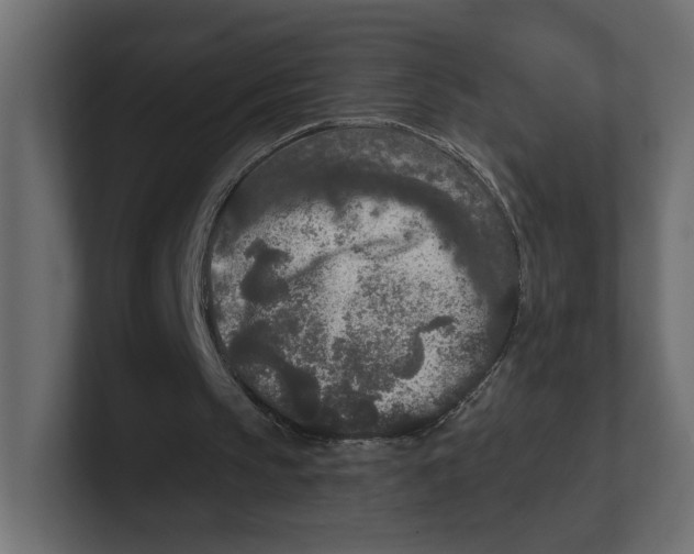 X0000100360145200806271431