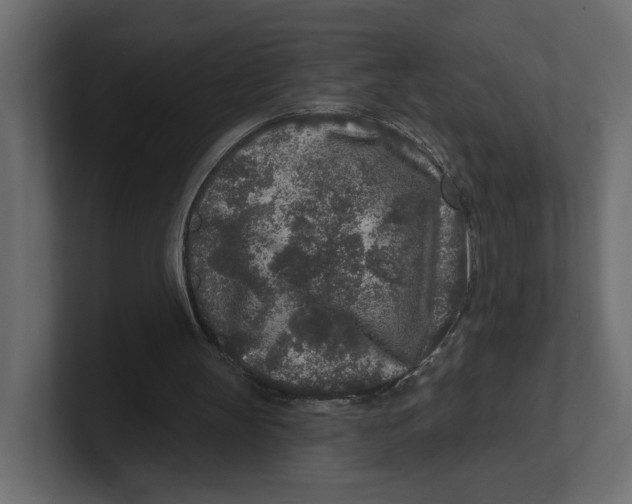 X0000100360147200806271431