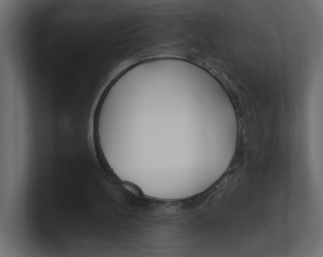 X0000100360148200806271431