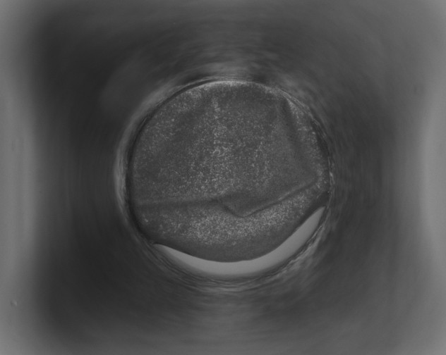 X0000100360149200806271431