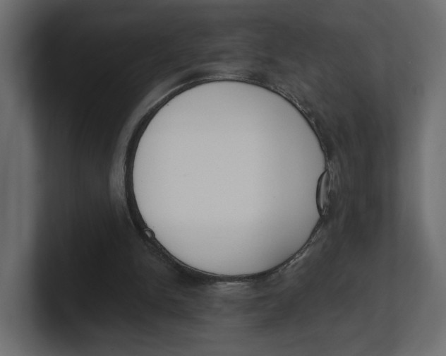 X0000100360150200806271431