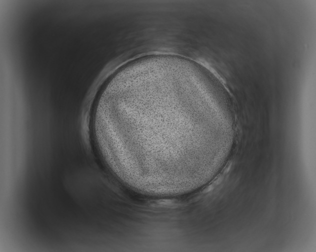 X0000100360151200806271431