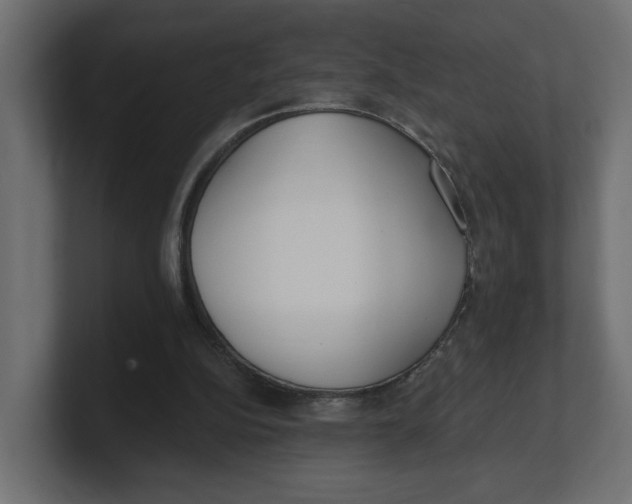 X0000100360152200806271431