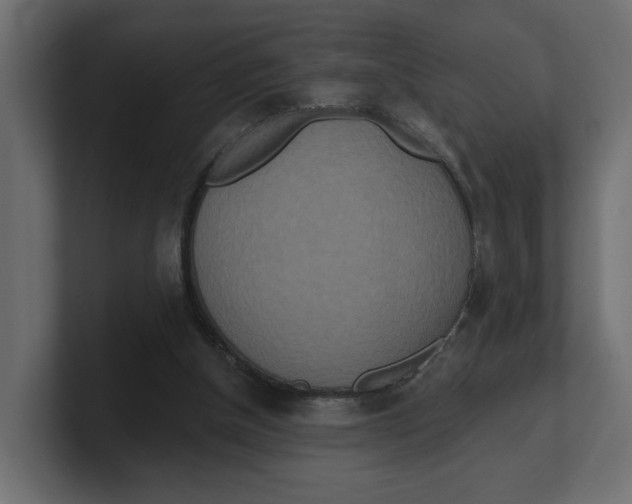 X0000100360154200806271431