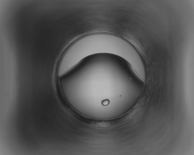 X0000100360156200806271431