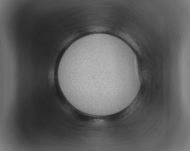 X0000100360159200806271431