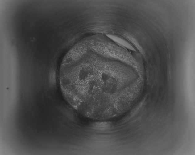 X0000100360161200806271431