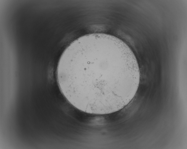 X0000100360162200806271431