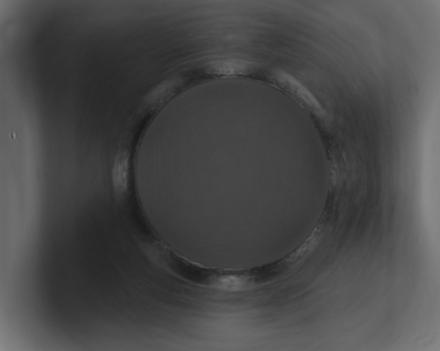 X0000100360163200806271431