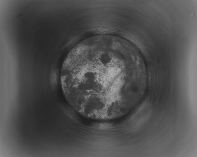 X0000100360165200806271431