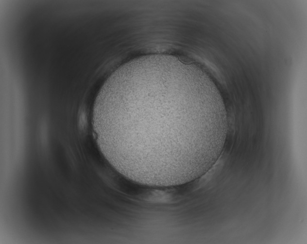 X0000100360166200806271431