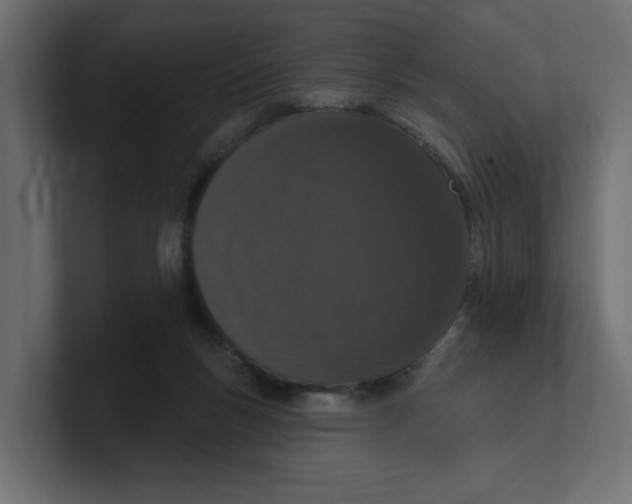 X0000100360167200806271431