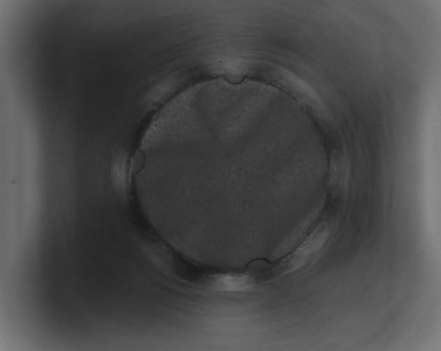 X0000100360168200806271431