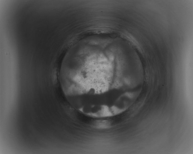 X0000100360169200806271431