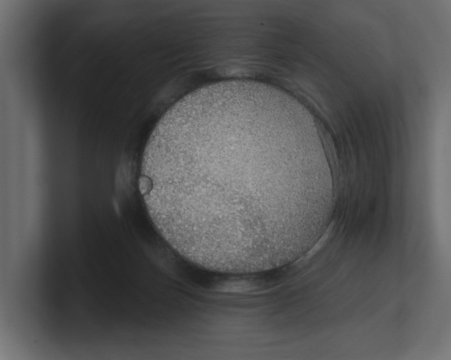 X0000100360171200806271431