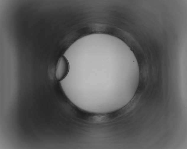 X0000100360172200806271431