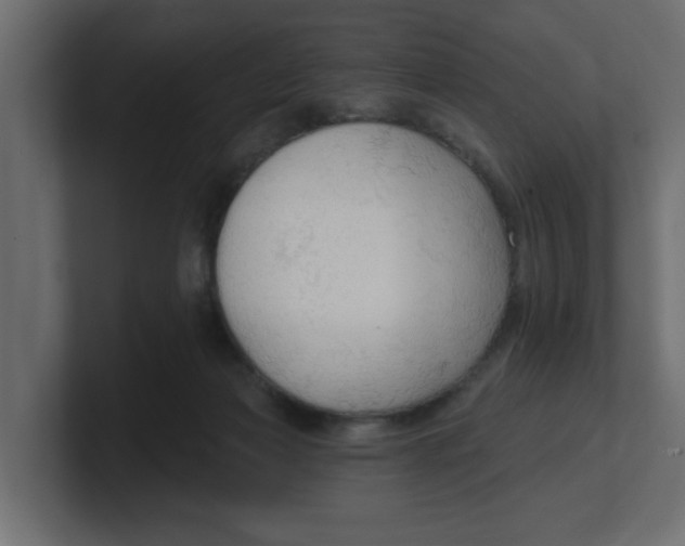 X0000100360173200806271431