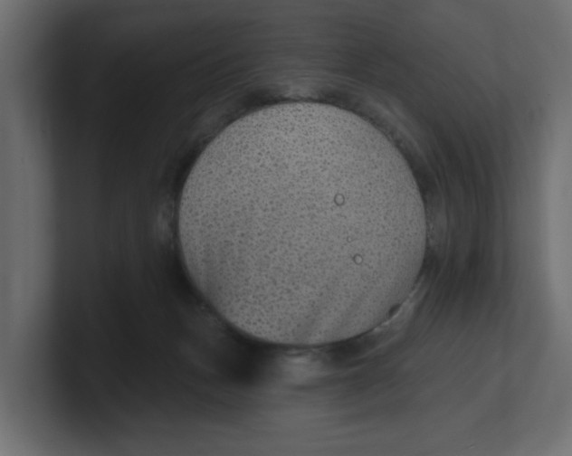 X0000100360175200806271431