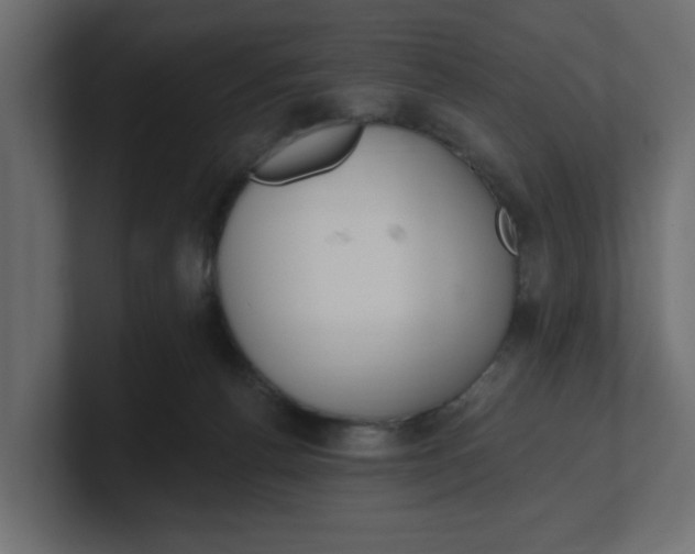 X0000100360176200806271431