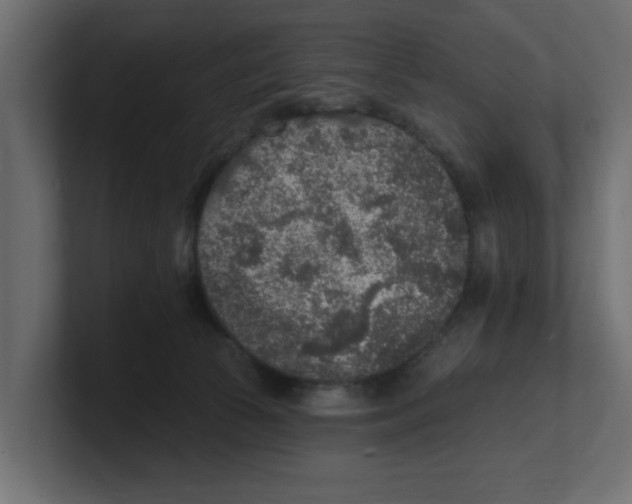 X0000100360177200806271431