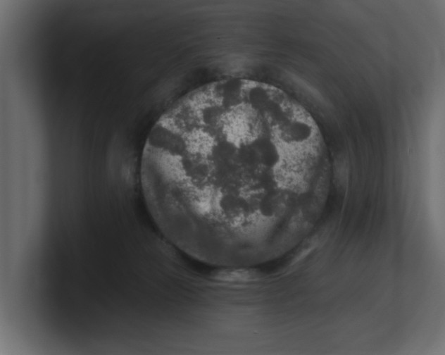 X0000100360181200806271431