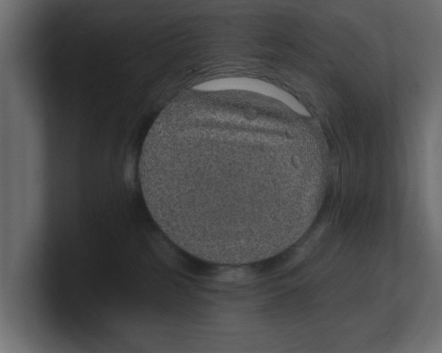 X0000100360185200806271431